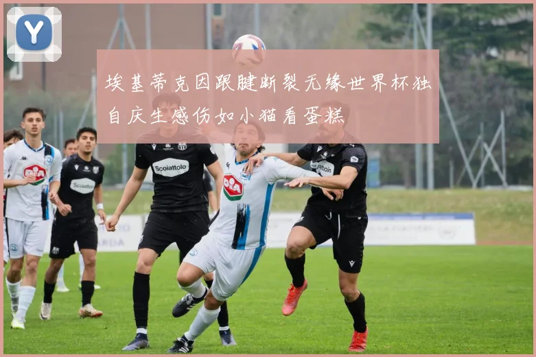 埃基蒂克因跟腱断裂无缘世界杯独自庆生感伤如小猫看蛋糕