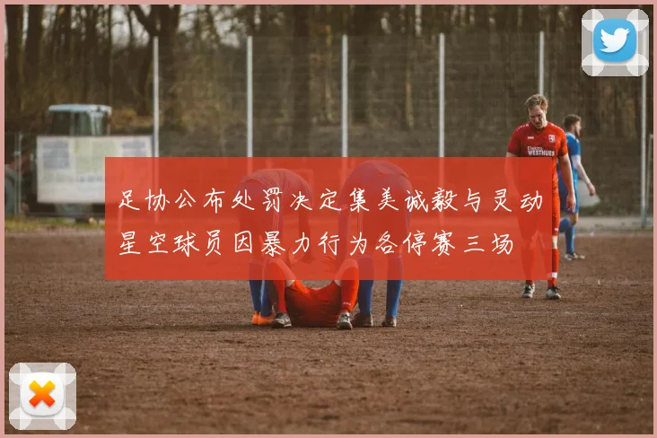 足协公布处罚决定集美诚毅与灵动星空球员因暴力行为各停赛三场